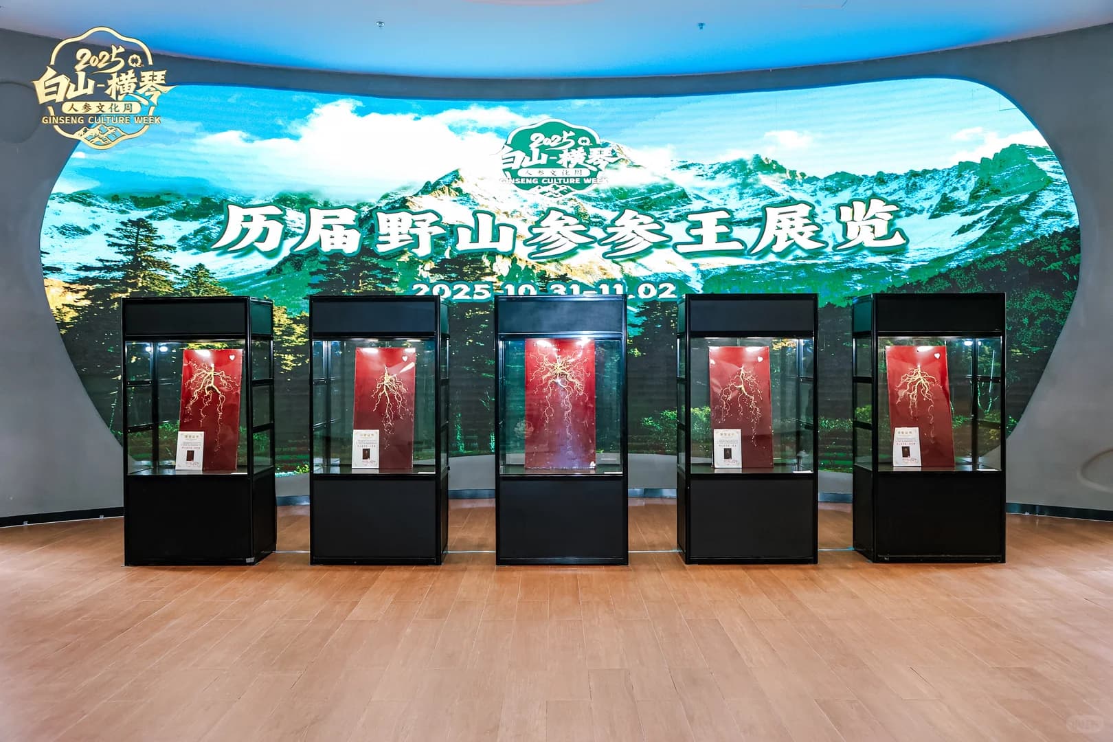 现场案例-白山横琴人参文化周 展览/展会现场图 6