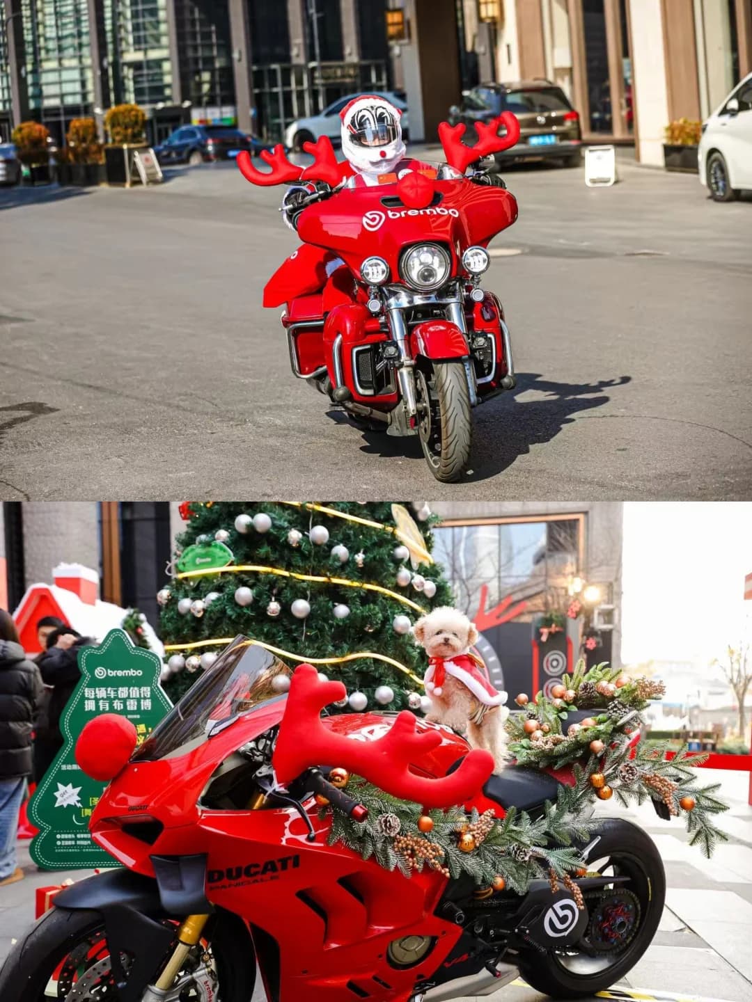 品牌案例 圣诞元旦快闪 现场图 2