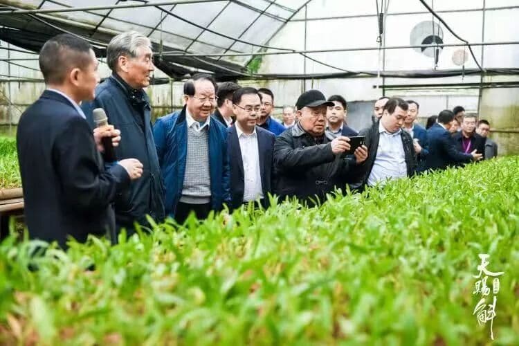 中国 · 赤水金钗石斛产业推介大会圆满成功 现场图 3