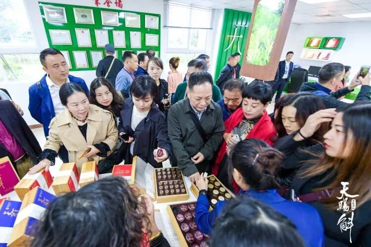 中国 · 赤水金钗石斛产业推介大会圆满成功 峰会/论坛现场图 5