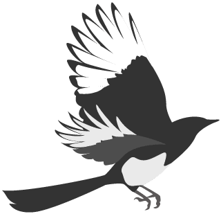 恋恋七夕 夏日限定的甜蜜 活动现场图 5