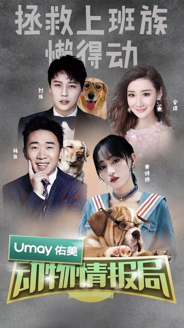 佑美动物情报局助你C位出道 发布会现场主图