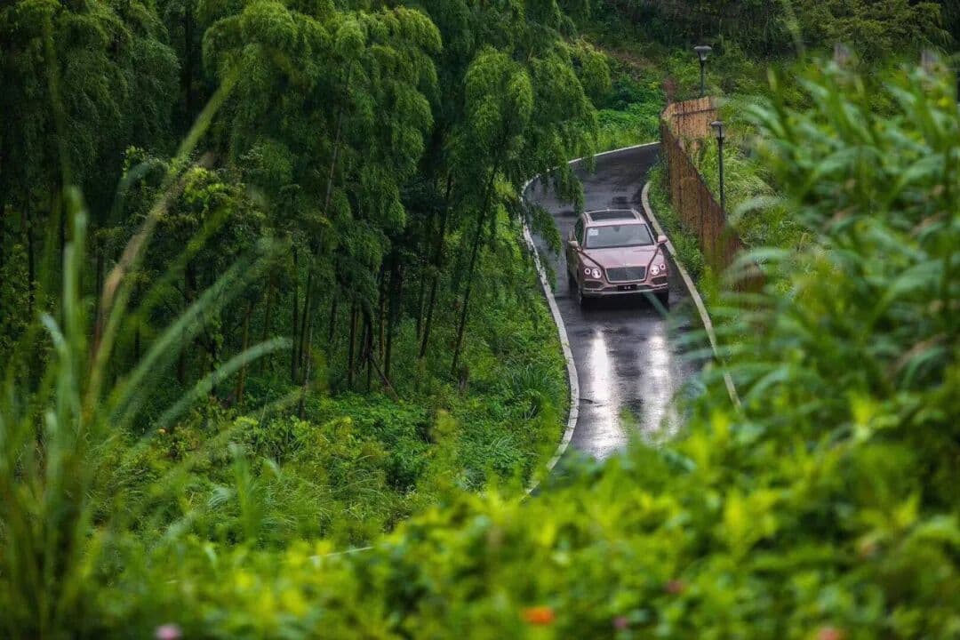非凡 不负期待-宾利添越V8 活动现场图 5