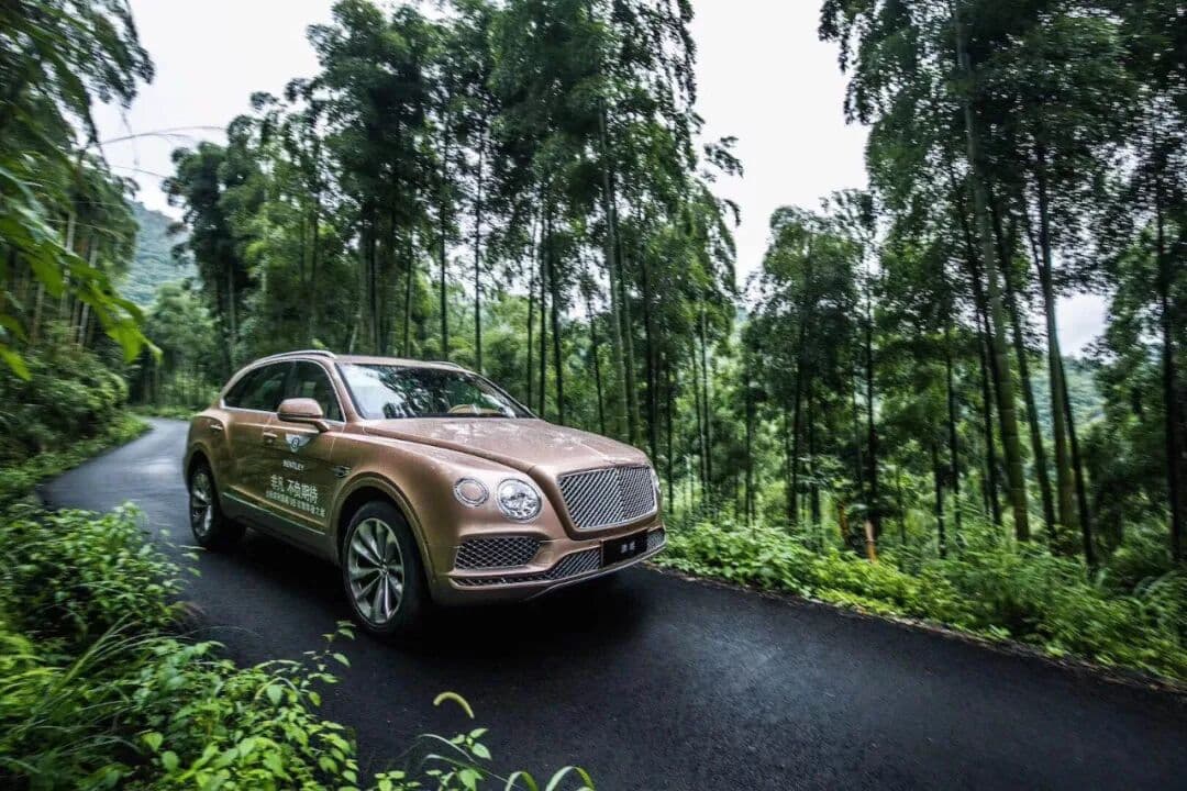 非凡 不负期待-宾利添越V8 活动现场图 6