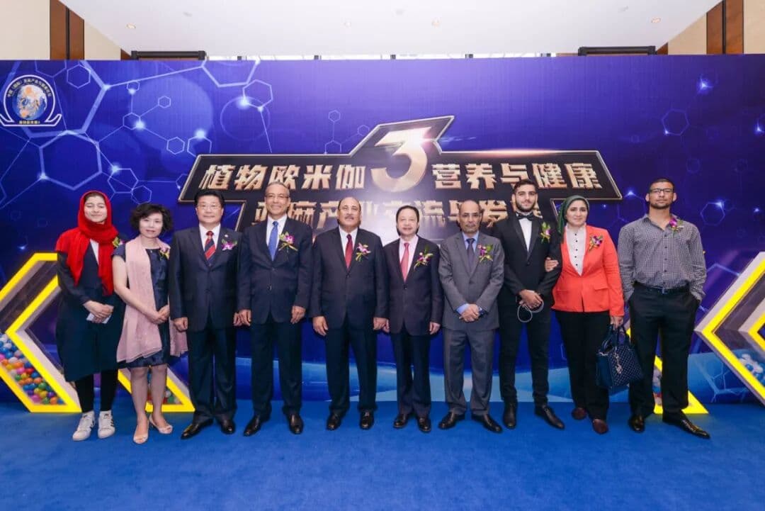 第三届中国（国际）亚麻产业与健康论坛 峰会/论坛现场图 6